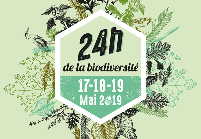 Bandeau-24h-biodiversite